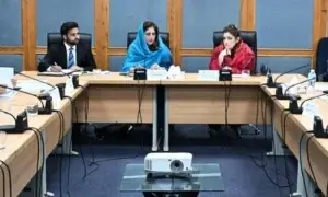 Senate body asks auditor general, FIA to probe irregularities in Pakistan Baitul Mal