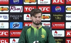 Shaheen defends pitches made for Australia ODI series