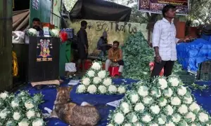 Indian economy, govt finances see mounting costs from Iran war