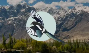 Sharmeen Obaid-Chinoy's Neela Asmaan is calling for applications for its Climate Futures Residency