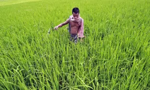 India's fertiliser ministry seeks to double subsidy fund as cost of Iran war mounts