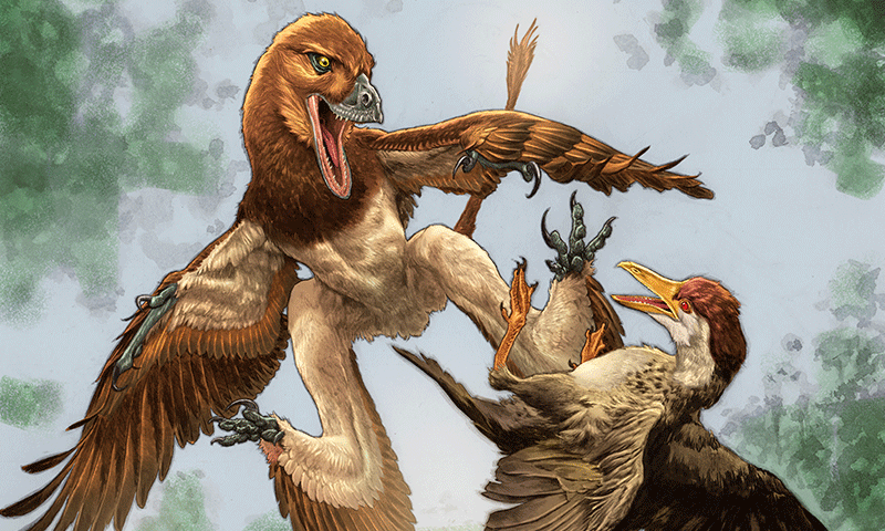 Velociraptor cousin had a taste for birds