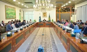 Dar-led committee recommends extending countrywide austerity drive till June 30