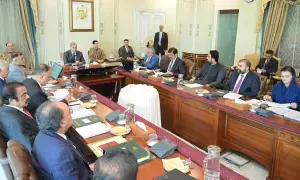 National Economic Council trims uplift plans for FY26-27; Punjab takes biggest hit