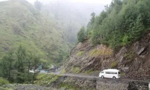 PHC gives three months to govt for restoring Galiyat forest boundaries