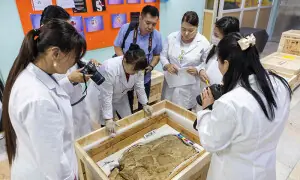 Smuggled dinosaur fossils return to Mongolia after two decades
