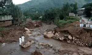 ECONOMIC SURVEY 2025-26: 2025 floods hit agriculture hardest with Rs430bn losses