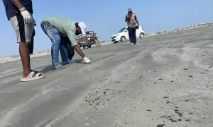 Heavy oil slick hits Gwadar&rsquo;s western coast