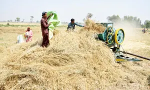 Agriculture largely ignored