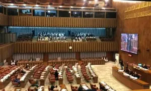 Senators raise alarm over rising debt amid lack of roadmap for economic stability