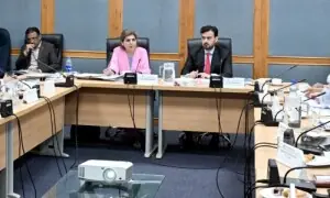 Senate committee seeks stronger reforms against honour killings, illegal jirgas