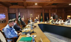 Naqvi Vows Online Crackdown on Sectarian Content, Discusses Muharram Security