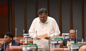 PPP lawmaker demands separate South Punjab province