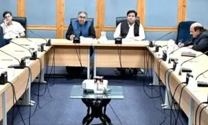FBR tells Senate panel tobacco tax theft is Rs40bn, not $1bn