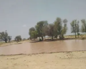 Rain brings relief to Cholistan residents