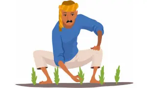 Sindh&rsquo;s agriculture research budget slashed