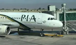 PIA to be handed over to new owners this month