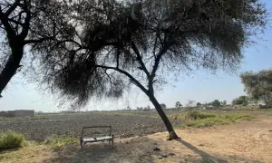 51 degrees and counting: Surviving heat in Jacobabad