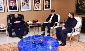 President stresses need to boost provinces&rsquo; cooperation