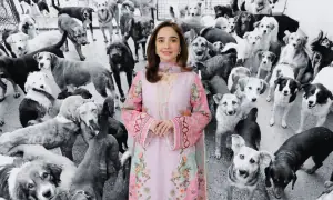 Juggun Kazim reminds us to provide water and shade to animals as the world battles high temperatures
