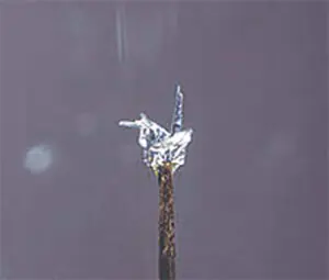 Unbelievable origami marvels!