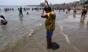 El Niño to develop into strong event between July and September, UN warns