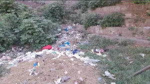 Sialkot&rsquo;s central park being  used as garbage dump