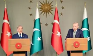 Pakistan, Turkiye seek renewed economic ties Pakistan, Turkiye seek renewed economic ties