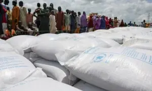 $4tr annual deficit blocking global development: UN