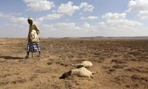Artificial cloud brightening could tame El Nino: study
