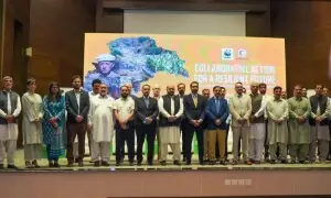 Advancing nature-based solutions to address climate risks stressed