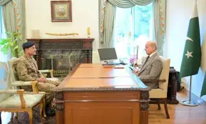 Govt pins hopes on Field Marshal Munir to tackle population growth