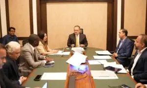 WB delegation discusses urban uplift, transport projects with Sharjeel