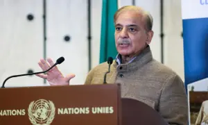 After Houthi attacks on Saudi Arabia, PM Shehbaz reaffirms Pakistan's support for kingdom's security
