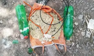 Bomb Disposal Unit official martyred in IED explosion in KP's Peshawar district: police