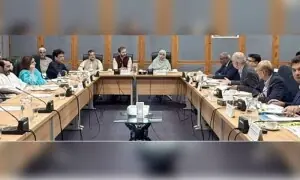 Senate panel irked by two-decade delay in transfer of Karachi's Hyatt Regency