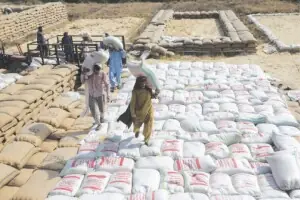 Pakistan Flour Mills Association wants Centre to import wheat to avert winter shortages