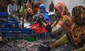 Fish export data sparks confusion