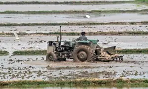 Editorial: Every govt vows to transform the agriculture sector but few are willing to undertake reforms for achieving that aim