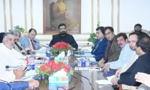 Housing schemes encroach half of Kashmir state property in Lahore