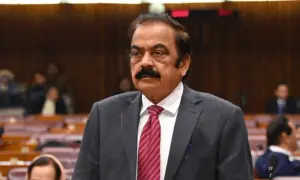 Sanaullah says JUI-F chief's remarks against martyrs were 'inappropriate', but unintended