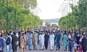 Rawal Lake park loses half of tree cover in 2 decades