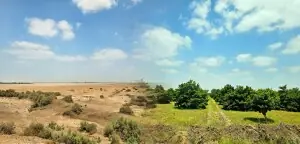 Where farmers meet corporate capital: How Savak is building Pakistan's climate asset pipeline