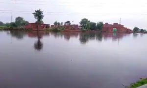 Admin fails to evacuate residents after Hudiara Drain inundates village