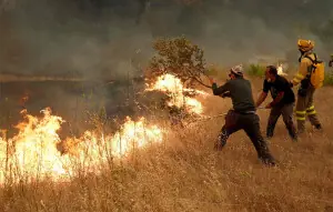 Over 100,000 flee forest fires in France, Spain