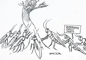 Cartoon: 25 July, 2026