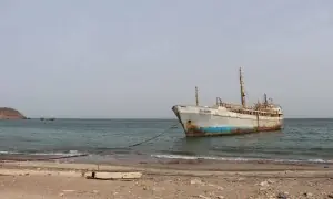 &lsquo;Houthis not seeking to close Bab al-Mandeb&rsquo;