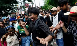 In pictures: 'Cockroach' movement protesters erupt in joy after education minister resigns
