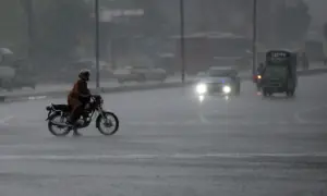 Seven killed, 20 hurt as heavy rains lash Punjab