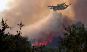 France, Spain race to contain 'monster' fires ahead of new heatwave